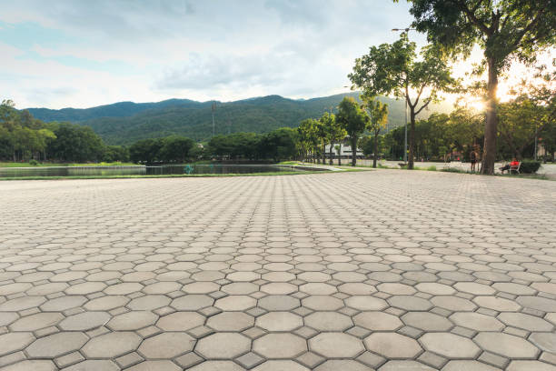 Best Residential Paver Driveway  in Evansville, WI